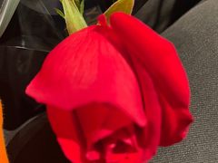 -可稵咖啡面包蛋糕(休斯顿店)