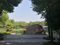 -陈家山荷花公园