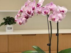 -招商银行(北京常营支行)