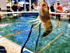 -嘻虾·钓虾工场(东莞总店)