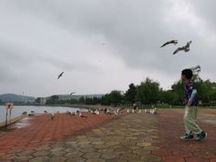 -黑石礁公园
