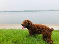 -郑东新区龙湖公共艺术中心