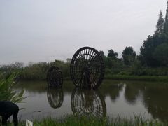 -长田漾湿地公园