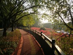 -南国桃园旅游度假区