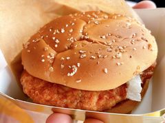 金凤来福鸡排堡-麦当劳(长江西路得来速店)