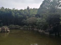 -穹窿山景区