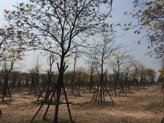 -露天矿生态公园