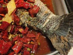 -鱼酷活鱼烤鱼(南京水游城店)