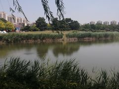 -塘沽森林公园