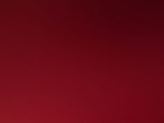 -龙景轩大酒店(宝杨路店)