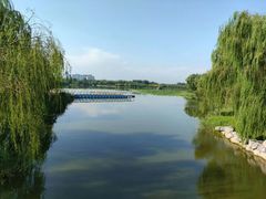 -大兴滨河森林公园