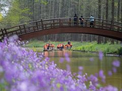 -黄海国家森林公园