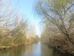 -溱湖国家湿地公园