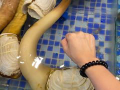 -雅盛品931海鲜酒家