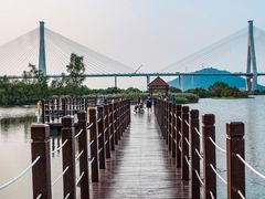 -芒洲湿地公园