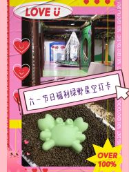 -绿野星空儿童乐园