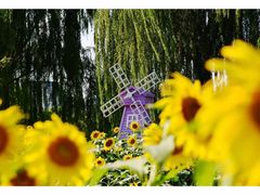 -廊坊文化艺术中心