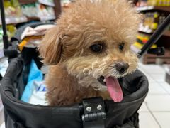 -丽达购物中心(崂山店)