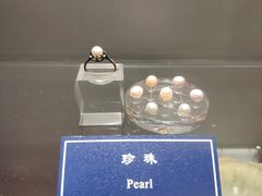 -中国地质大学逸夫博物馆