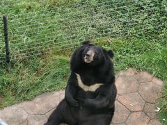 -无锡动物园·太湖欢乐园