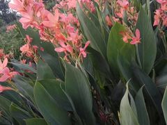 -白鹭湾湿地公园