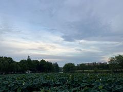 -鲁镇