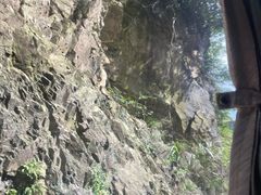 -将军关探险漂流