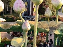 -南京银杏湖乐园