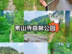 -素山寺森林公园