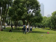 -重庆市江北嘴中央商务区中央公园