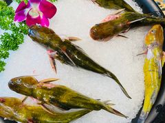 -五星桥原切肥牛火锅·30年专注好牛肉(湖塘店)