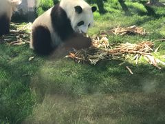 -鄂尔多斯野生动物园