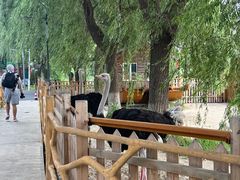 -白渔泡湿地公园