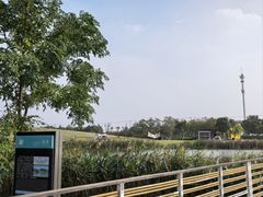 -春花秋色城市公园