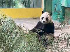 -杭州野生动物世界