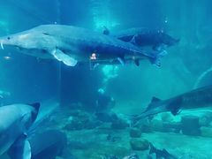 -华夏文旅西安度假区