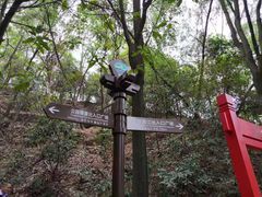 -大屏嶂森林公园