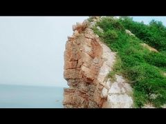 -杨梅坑