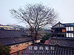 景观位-星巴克臻选(成都宽窄巷子店)