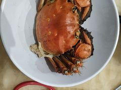 -黄记大闸蟹专卖店·活蟹·醉蟹