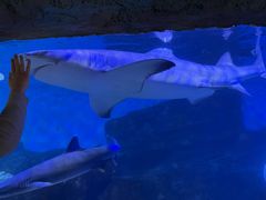 -横店影视城梦幻谷园区