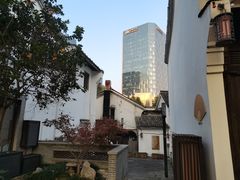 -运河游船(武林门码头)