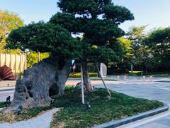 -厦门万豪酒店及会议中心大堂吧·海景下午茶