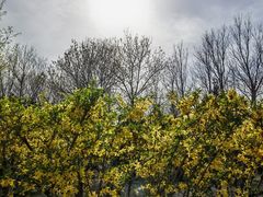 -永定河休闲森林公园