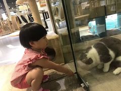 -小时光咖啡馆(开森度假森林店)