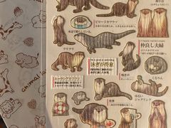 -中部国际机场