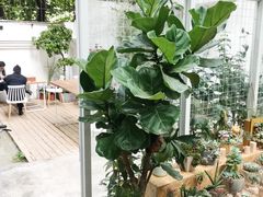 -拾壹cafe·工作室