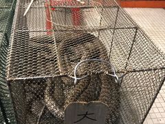 -嘉华海鲜酒家(龙津中路店)