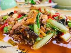 -青城甲(青城山店)