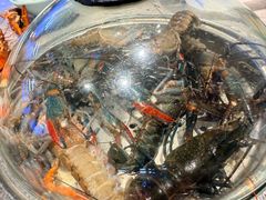 -争先鲜·蒸汽海鲜自助·鲜切牛肉